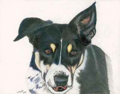 Artist! 
Classically trained/Inexplicably gifted/GRATEFUL.
Masterfully created animal portraits, everything from hens to hedgehogs, huskies, hares, hawks, etc.