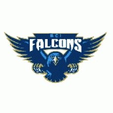 Welcome to the offical BCI (Birtle Collegiate institute) Falcons twitter account of the Manitoba WHSHL. #Falconpride #FalconsFlyTogether League Champs 1997 2000