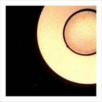 the wrens (@thewrens) 's Twitter Profile