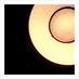 the wrens (@thewrens) Twitter profile photo the wrens (@thewrens) Twitter profile photo