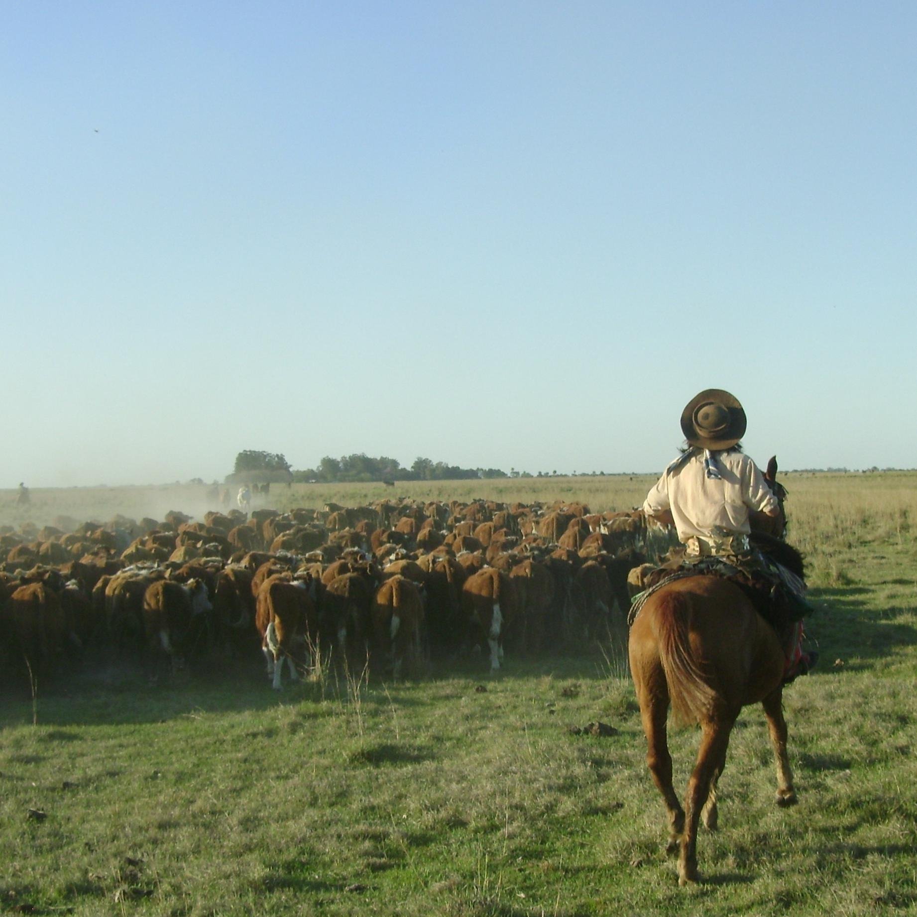 Authentic estancia in Argentina, real experiences and culture, gauchos teaching his work, best horses and long horserides, fabulous regional food and wines.