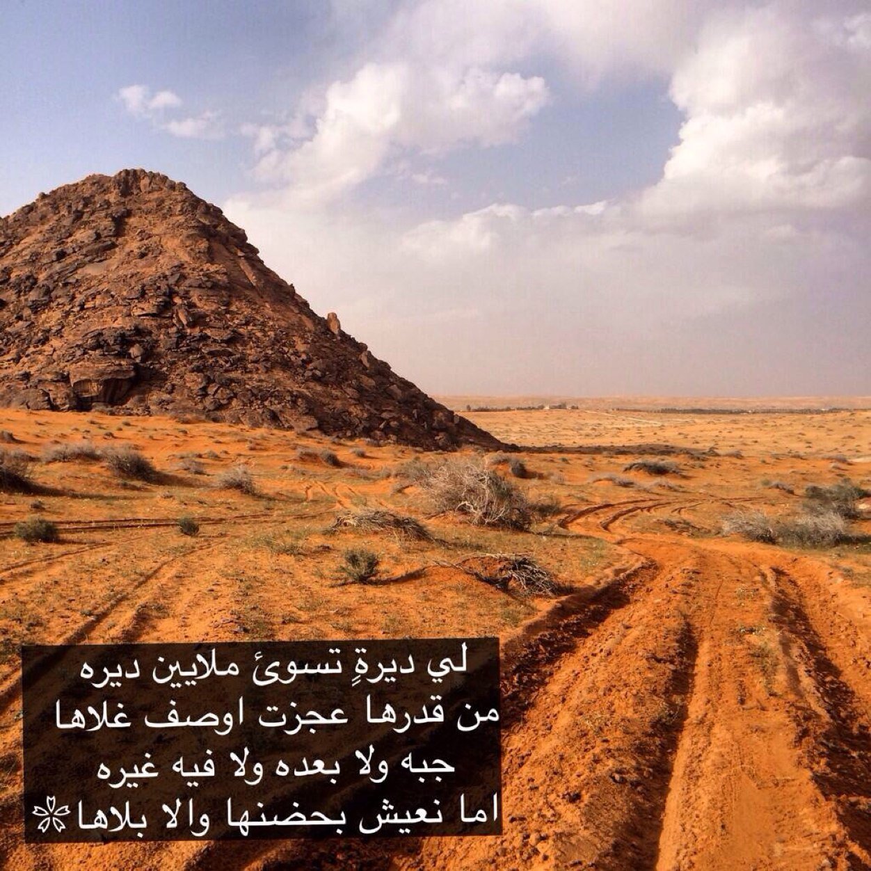 هذا الحساب لنشر قصائد الشاعر مخلف صلفيق الرمالي