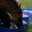 Lou Bedford - @loubedders - Twitter