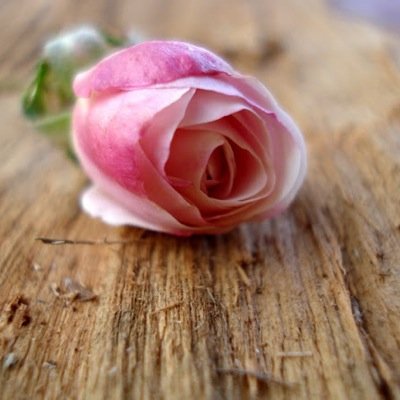 RikardoKakaa's profile picture. 