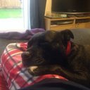 lorna saunders - @deedeewaylorn - Twitter