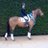 AHDressage's profile image