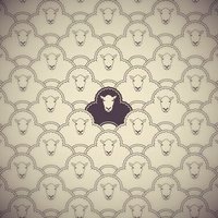 The Dark Sheep (@thedarksheep_) 's Twitter Profile