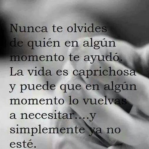 kameliateria34's profile picture. 