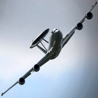 joecouga's profile picture. 