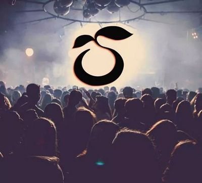 Org general de Mandarine Tngrs / consultas por barras, anticipadas, cumpleaños, staff / @TomiGitto: 1558725495/Md
