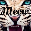 Benni - @benny_love_ - Twitter