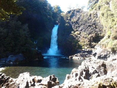 pinceladasfm's profile picture. .