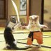 vNetCat@:: 😹🙀🤔🙄😬😮‍💨 | 🙈🙉🙊 (@samkookai67) Twitter profile photo