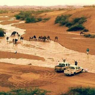 ♥‏‏عنزي جنوبي♥
