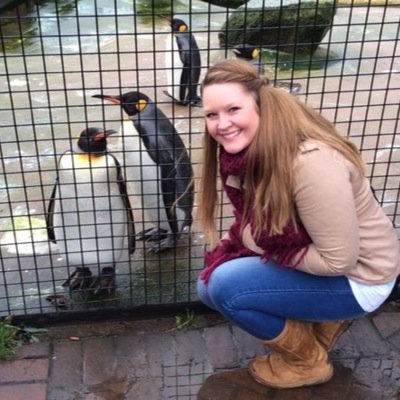 nicolajox's profile picture. 