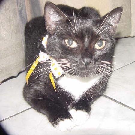 cripadcor's profile picture. 