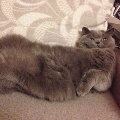 Daniloviv's profile picture. 