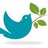 Animal Resort NL (@animalresortnl) 's Twitter Profile