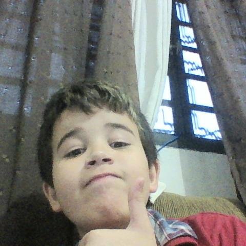 sou um pinguim ratatouille