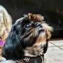 Amy Burris - @AmyMyzhivago - Twitter