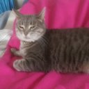 Joann Erickson - @JosewJoJo - Twitter