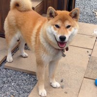 mak (@makmak5380) 's Twitter Profile