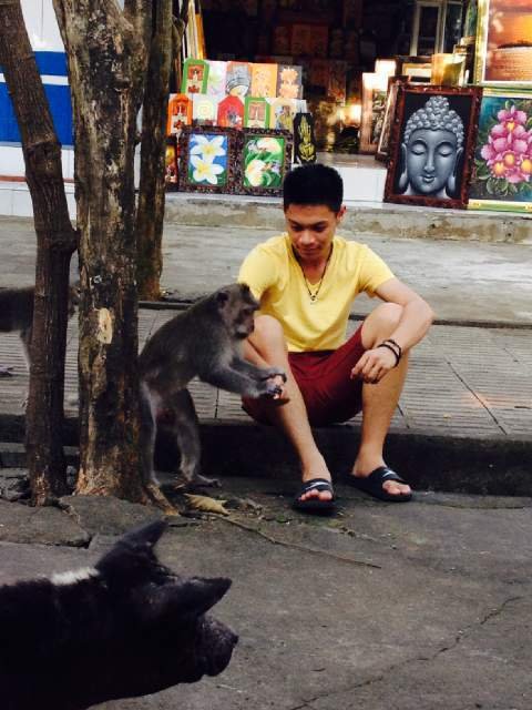 kevinpaulrobot's profile picture. 