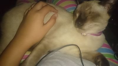 OssraS's profile picture. yo soy una chica loca ;)