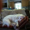 Clair Hall - @hallc7914 - Twitter