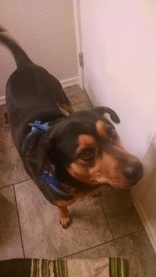 MatthewBednorz's profile picture. I am a life insurance agent. Husband, I am a fan of Notre Dame football, Denver Broncos, and the Texas Rangers. Proud alumni of West Test A&M.