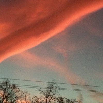 marthagdkusa's profile picture. 