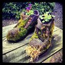 Inger Campbell - @ingcam1 - Twitter