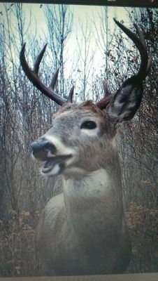 praynmntis89's profile picture. 