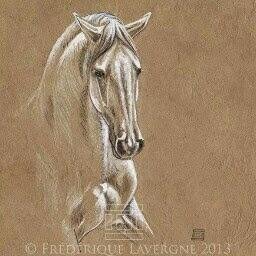 moita_jose's profile picture. 