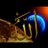 rn13790's profile image