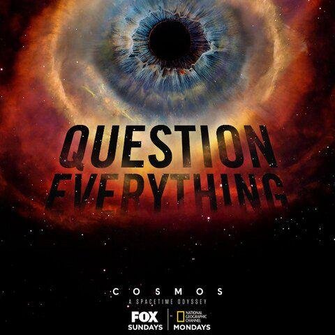 Marjan_MJ's profile picture. 