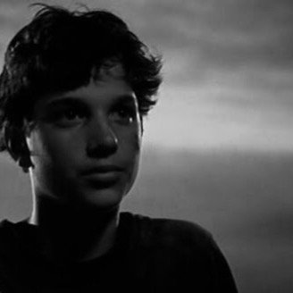 Stay gold, Ponyboy. Stay gold.
