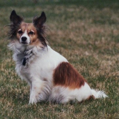 SJEMary's profile picture. 1st Grade teacher at St. John-Emmanuel Lutheran School