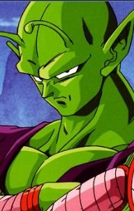Hmph I dont have time to make an introducton. All you need to know is I am Piccolo.