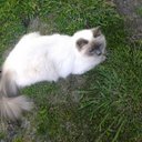 Zoe Solomon - @birdy_zoe - Twitter