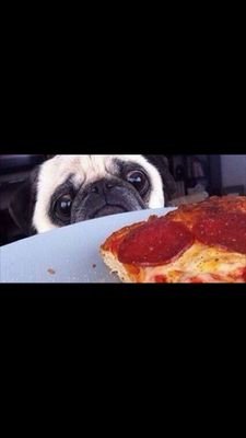 ihateelliot's profile picture. 