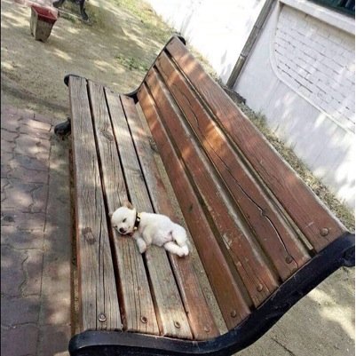 när livet suger och världen är upp och ner