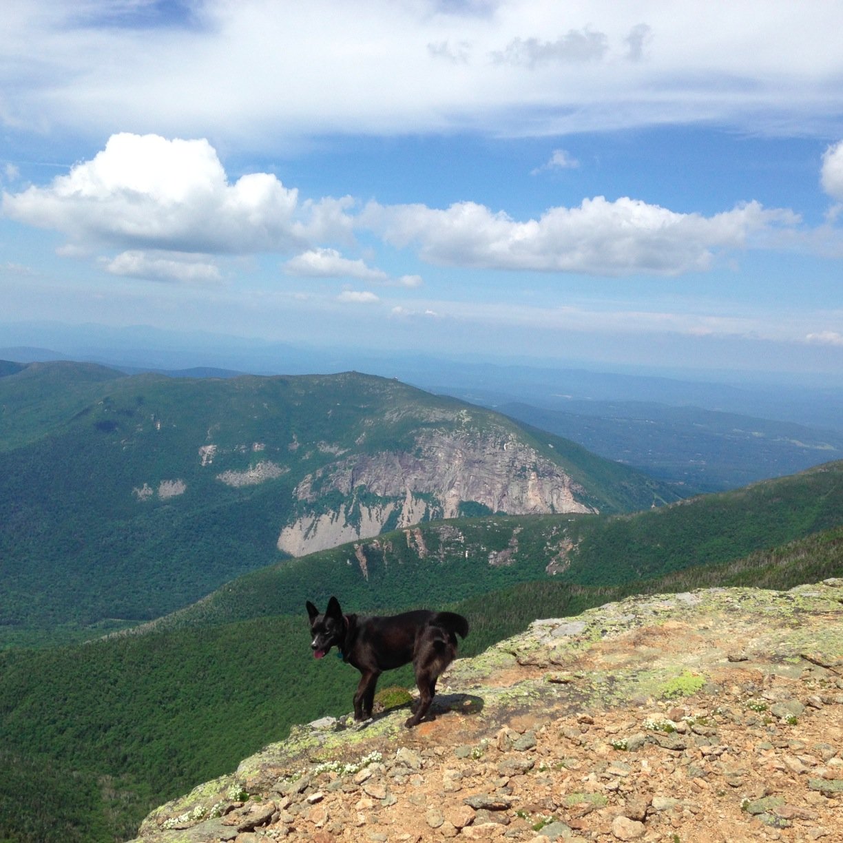 sjbailey21's profile picture. 