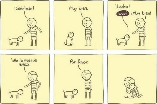 Noe2618's profile picture. 