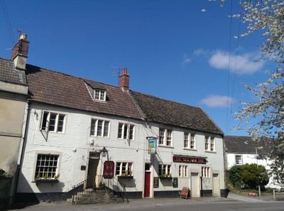 theoldhamtree1 Profile Picture
