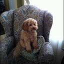 Sara LoCoco - @sara_lococo - Twitter