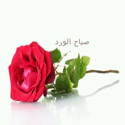 G90949354's profile picture. 