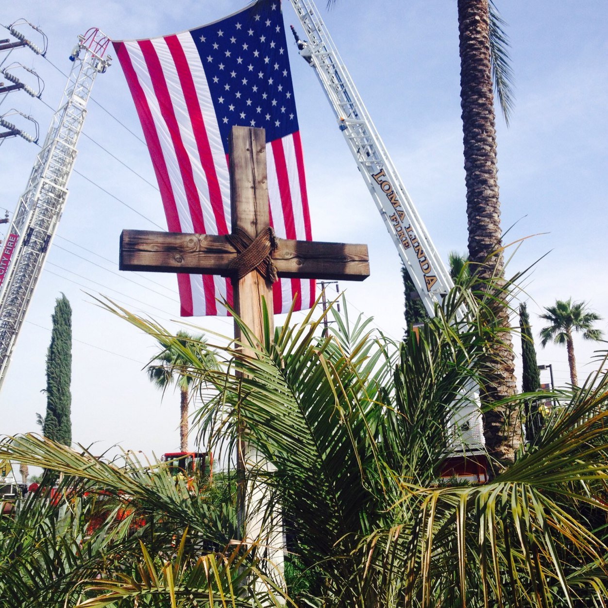 NathanCooke10's profile picture. 