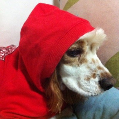 Good_Rain's profile picture. 