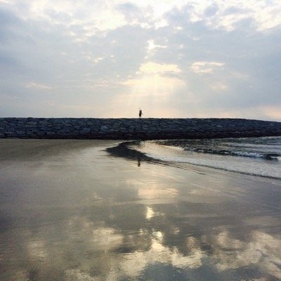 mush_satomi's profile picture. 